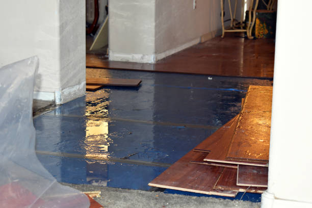 Professional Water Damage Restoration technician working in Firestone, CO